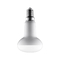 Nicht rostende Aluminiuminnen-Glühlampen R50 LED 180 Grad-Winkel